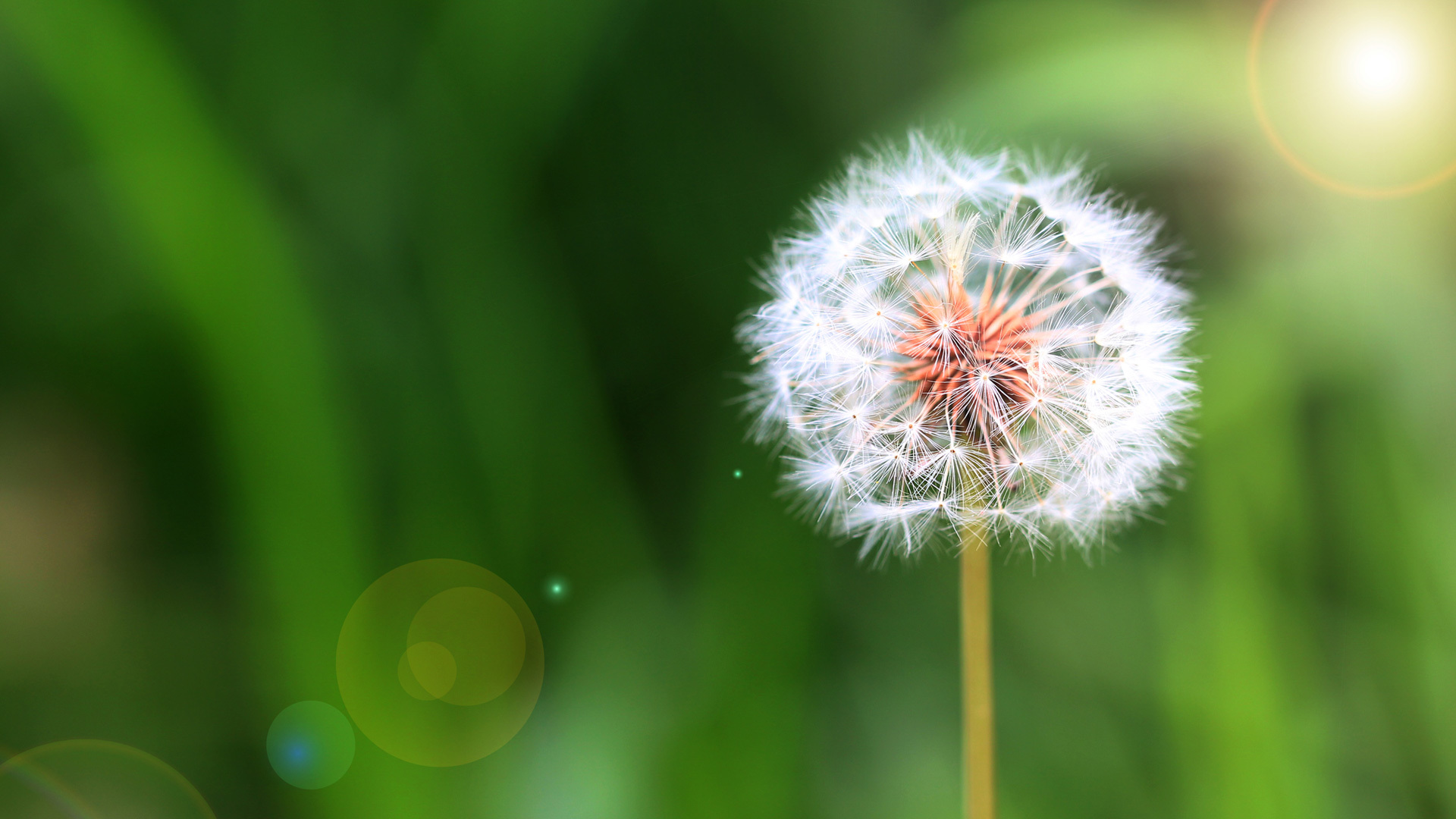 綠色科技 品質生活